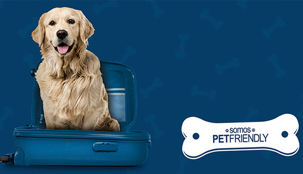 Want to travel with your pet? Hotel ILUNION Valencia 4